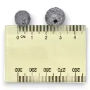 Mangrove Jacks Natives Fishing Pack | Hooks, Sinkers, and Tackle Box for Native Australian Fish_2293