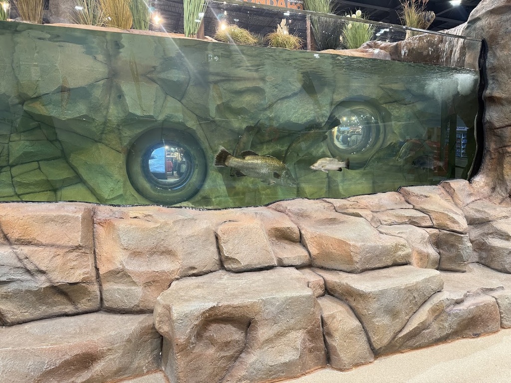 Anaconda Brendale shopfront
